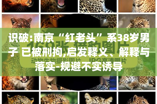 識破:南京“紅老頭”系38歲男子 已被刑拘,啟發(fā)釋義、解釋與落實-規(guī)避不實誘導(dǎo)