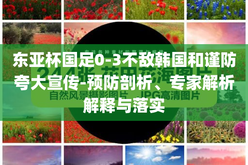 東亞杯國足0-3不敵韓國和謹(jǐn)防夸大宣傳-預(yù)防剖析、專家解析解釋與落實