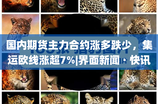 國內期貨主力合約漲多跌少，集運歐線漲超7%|界面新聞 · 快訊