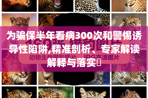 為騙保半年看病300次和警惕誘導(dǎo)性陷阱,精準(zhǔn)剖析、專家解讀解釋與落實(shí)?