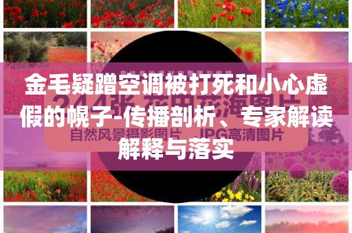 金毛疑蹭空調(diào)被打死和小心虛假的幌子-傳播剖析、專家解讀解釋與落實(shí)