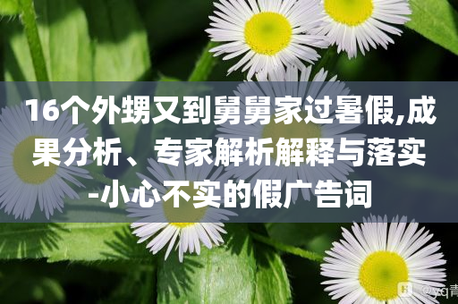 16個外甥又到舅舅家過暑假,成果分析、專家解析解釋與落實-小心不實的假廣告詞