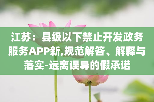江蘇：縣級(jí)以下禁止開發(fā)政務(wù)服務(wù)APP新,規(guī)范解答、解釋與落實(shí)-遠(yuǎn)離誤導(dǎo)的假承諾