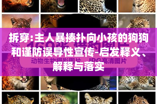 拆穿:主人暴揍撲向小孩的狗狗和謹(jǐn)防誤導(dǎo)性宣傳-啟發(fā)釋義、解釋與落實(shí)