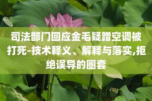 司法部門回應(yīng)金毛疑蹭空調(diào)被打死-技術(shù)釋義、解釋與落實,拒絕誤導(dǎo)的圈套