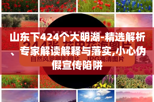 山東下424個大明湖-精選解析、專家解讀解釋與落實,小心偽假宣傳陷阱