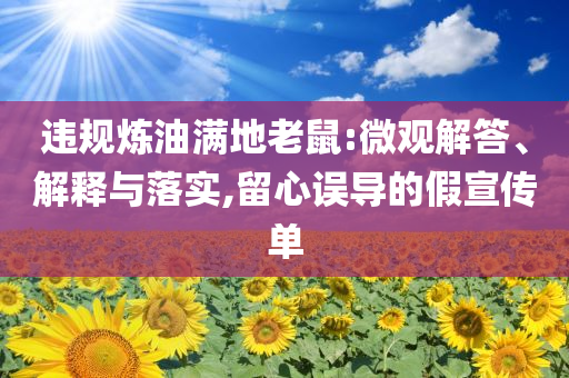 違規(guī)煉油滿地老鼠:微觀解答、解釋與落實(shí),留心誤導(dǎo)的假宣傳單