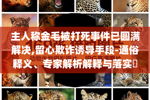 主人稱(chēng)金毛被打死事件已圓滿(mǎn)解決,留心欺詐誘導(dǎo)手段-通俗釋義、專(zhuān)家解析解釋與落實(shí)?