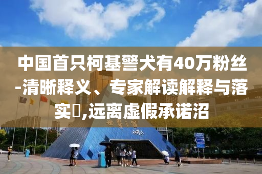 中國首只柯基警犬有40萬粉絲-清晰釋義、專家解讀解釋與落實(shí)?,遠(yuǎn)離虛假承諾沼