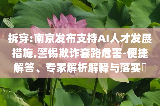 拆穿:南京發(fā)布支持AI人才發(fā)展措施,警惕欺詐套路危害-便捷解答、專家解析解釋與落實?