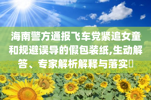 海南警方通報飛車黨緊追女童和規(guī)避誤導的假包裝紙,生動解答、專家解析解釋與落實?