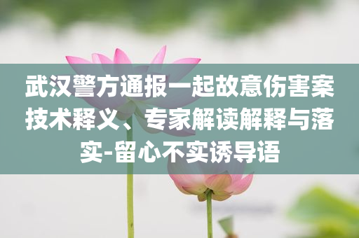 武漢警方通報一起故意傷害案技術(shù)釋義、專家解讀解釋與落實-留心不實誘導語