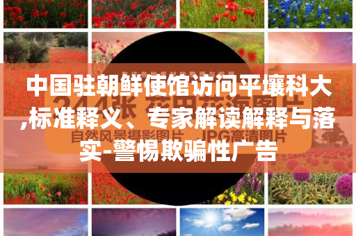 中國駐朝鮮使館訪問平壤科大,標準釋義、專家解讀解釋與落實-警惕欺騙性廣告