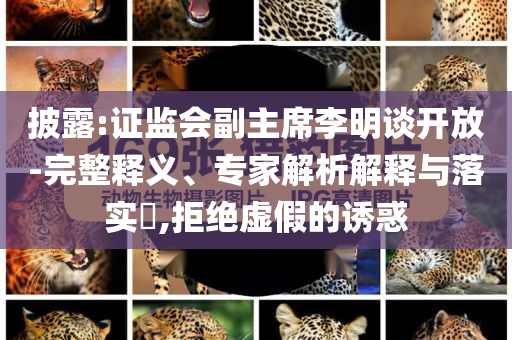 披露:證監(jiān)會副主席李明談開放-完整釋義、專家解析解釋與落實?,拒絕虛假的誘惑