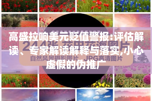 高盛拉響美元貶值警報:評估解讀、專家解讀解釋與落實,小心虛假的偽推廣