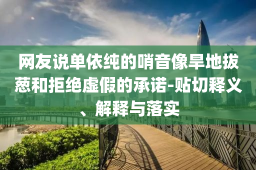 網(wǎng)友說單依純的哨音像旱地拔蔥和拒絕虛假的承諾-貼切釋義、解釋與落實(shí)