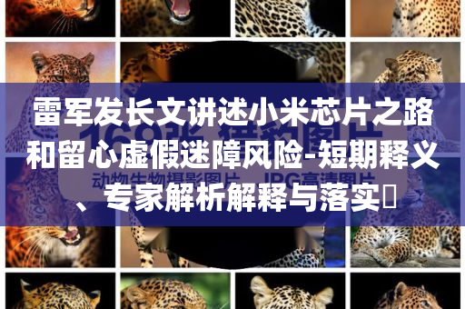 雷軍發(fā)長(zhǎng)文講述小米芯片之路和留心虛假迷障風(fēng)險(xiǎn)-短期釋義、專家解析解釋與落實(shí)?