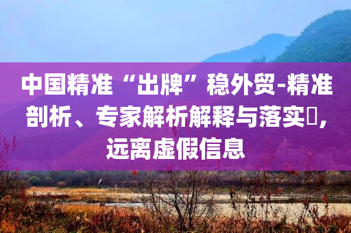 中國(guó)精準(zhǔn)“出牌”穩(wěn)外貿(mào)-精準(zhǔn)剖析、專家解析解釋與落實(shí)?,遠(yuǎn)離虛假信息
