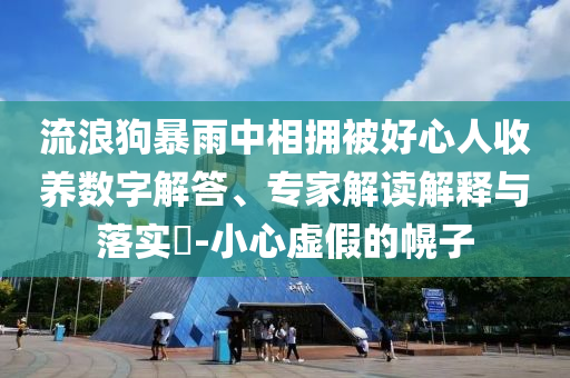 流浪狗暴雨中相擁被好心人收養(yǎng)數(shù)字解答、專家解讀解釋與落實?-小心虛假的幌子