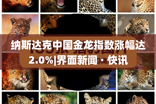 納斯達(dá)克中國(guó)金龍指數(shù)漲幅達(dá)2.0%|界面新聞 · 快訊