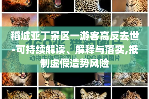稻城亞丁景區(qū)一游客高反去世-可持續(xù)解讀、解釋與落實,抵制虛假造勢風(fēng)險