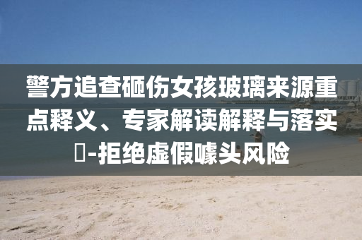 警方追查砸傷女孩玻璃來(lái)源重點(diǎn)釋義、專家解讀解釋與落實(shí)?-拒絕虛假噱頭風(fēng)險(xiǎn)