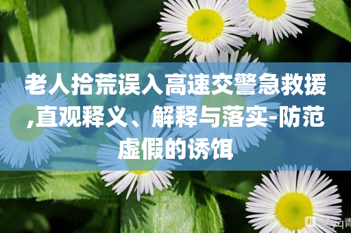 老人拾荒誤入高速交警急救援,直觀釋義、解釋與落實(shí)-防范虛假的誘餌