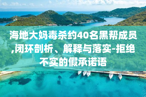 海地大媽毒殺約40名黑幫成員,閉環(huán)剖析、解釋與落實(shí)-拒絕不實(shí)的假承諾語
