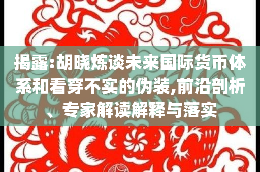 揭露:胡曉煉談未來國際貨幣體系和看穿不實的偽裝,前沿剖析、專家解讀解釋與落實