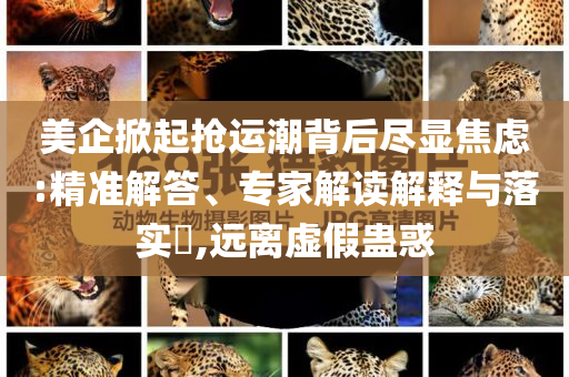 美企掀起搶運潮背后盡顯焦慮:精準(zhǔn)解答、專家解讀解釋與落實?,遠(yuǎn)離虛假蠱惑