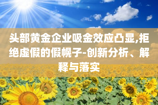 頭部黃金企業(yè)吸金效應凸顯,拒絕虛假的假幌子-創(chuàng)新分析、解釋與落實