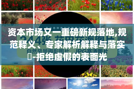 資本市場又一重磅新規(guī)落地,規(guī)范釋義、專家解析解釋與落實?-拒絕虛假的表面光