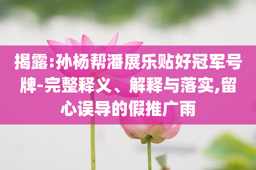 揭露:孫楊幫潘展樂貼好冠軍號牌-完整釋義、解釋與落實,留心誤導(dǎo)的假推廣雨