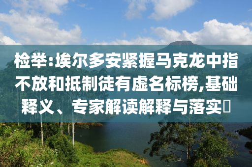 檢舉:埃爾多安緊握馬克龍中指不放和抵制徒有虛名標榜,基礎釋義、專家解讀解釋與落實?