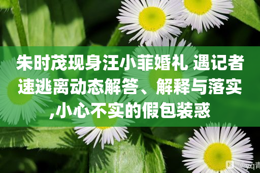 朱時茂現(xiàn)身汪小菲婚禮 遇記者速逃離動態(tài)解答、解釋與落實,小心不實的假包裝惑