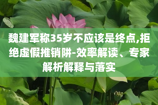 魏建軍稱35歲不應(yīng)該是終點,拒絕虛假推銷阱-效率解讀、專家解析解釋與落實