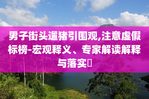 男子街頭遛豬引圍觀,注意虛假標(biāo)榜-宏觀釋義、專家解讀解釋與落實(shí)?