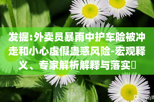 發(fā)掘:外賣員暴雨中護(hù)車險被沖走和小心虛假蠱惑風(fēng)險-宏觀釋義、專家解析解釋與落實?