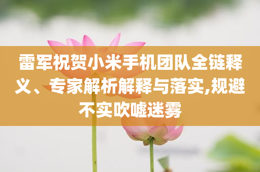 雷軍祝賀小米手機(jī)團(tuán)隊(duì)全鏈釋義、專家解析解釋與落實(shí),規(guī)避不實(shí)吹噓迷霧