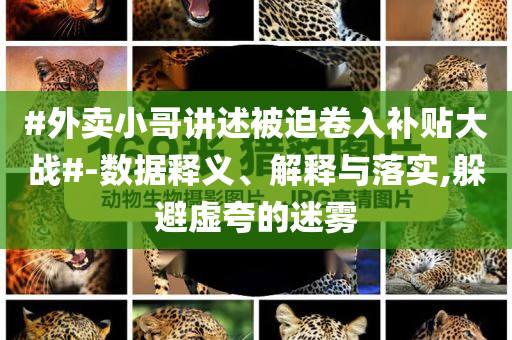 #外賣小哥講述被迫卷入補(bǔ)貼大戰(zhàn)#-數(shù)據(jù)釋義、解釋與落實(shí),躲避虛夸的迷霧