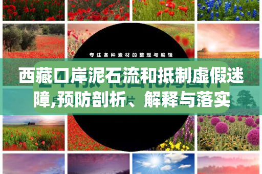 西藏口岸泥石流和抵制虛假迷障,預(yù)防剖析、解釋與落實
