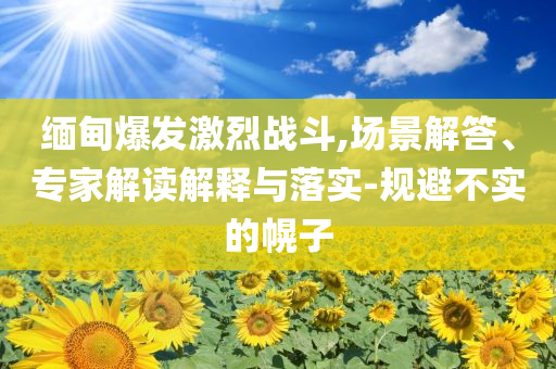緬甸爆發(fā)激烈戰(zhàn)斗,場(chǎng)景解答、專家解讀解釋與落實(shí)-規(guī)避不實(shí)的幌子