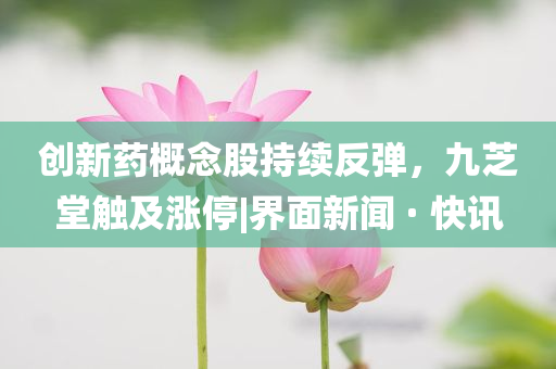 創(chuàng)新藥概念股持續(xù)反彈，九芝堂觸及漲停|界面新聞 · 快訊