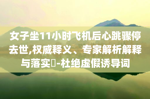 女子坐11小時(shí)飛機(jī)后心跳驟停去世,權(quán)威釋義、專(zhuān)家解析解釋與落實(shí)?-杜絕虛假誘導(dǎo)詞