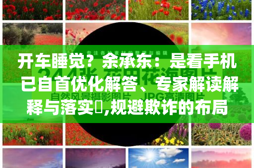 開車睡覺？余承東：是看手機(jī) 已自首優(yōu)化解答、專家解讀解釋與落實(shí)?,規(guī)避欺詐的布局
