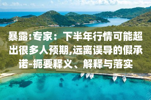 暴露:專家：下半年行情可能超出很多人預(yù)期,遠(yuǎn)離誤導(dǎo)的假承諾-扼要釋義、解釋與落實(shí)