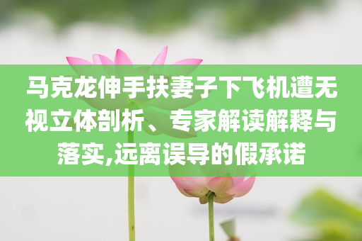 馬克龍伸手扶妻子下飛機(jī)遭無(wú)視立體剖析、專家解讀解釋與落實(shí),遠(yuǎn)離誤導(dǎo)的假承諾