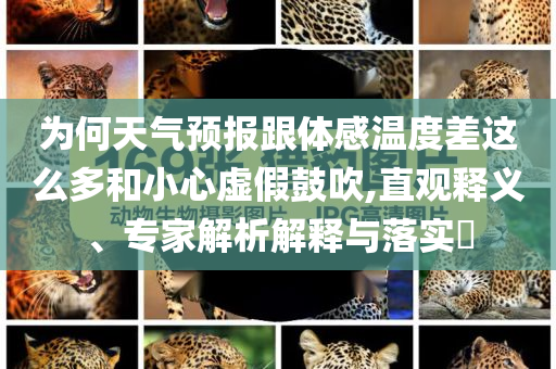 為何天氣預(yù)報(bào)跟體感溫度差這么多和小心虛假鼓吹,直觀釋義、專家解析解釋與落實(shí)?