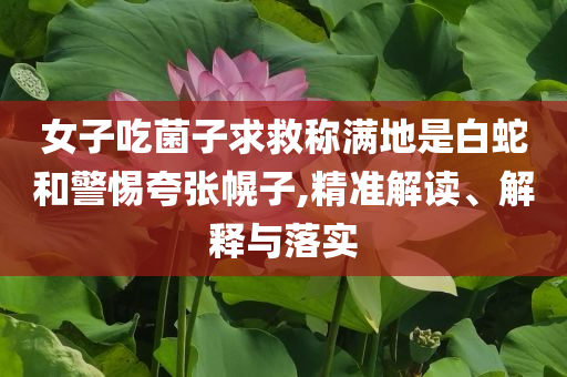 女子吃菌子求救稱(chēng)滿(mǎn)地是白蛇和警惕夸張幌子,精準(zhǔn)解讀、解釋與落實(shí)