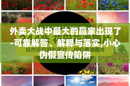 外賣(mài)大戰(zhàn)中最大的贏(yíng)家出現(xiàn)了-可靠解答、解釋與落實(shí),小心偽假宣傳陷阱